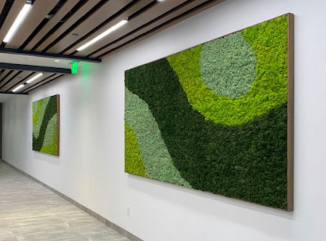 Moss walls are a good choice in locations like this one without any natural light available. 