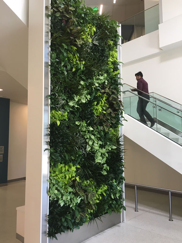 A stand-alone living wall at the San Diego Gas and Electric main office lobby in San Diego, California.