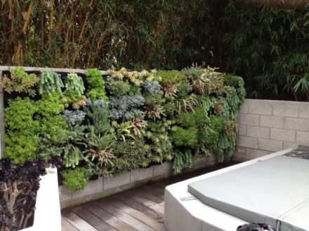 This green wall is in a beautiful residence in Del Mar, CA