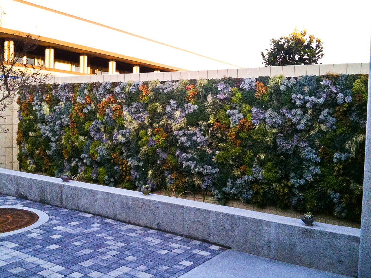 The Good Earth Plant Company living wall at the SDGE Energy Innovation Center is one of our favorite projects. See it at the USGBC Green Building Expo on September 22.