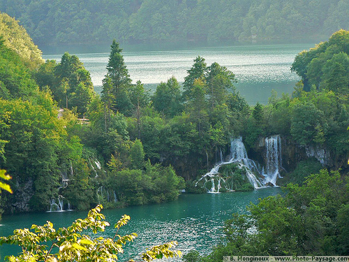 Nature with waterfall