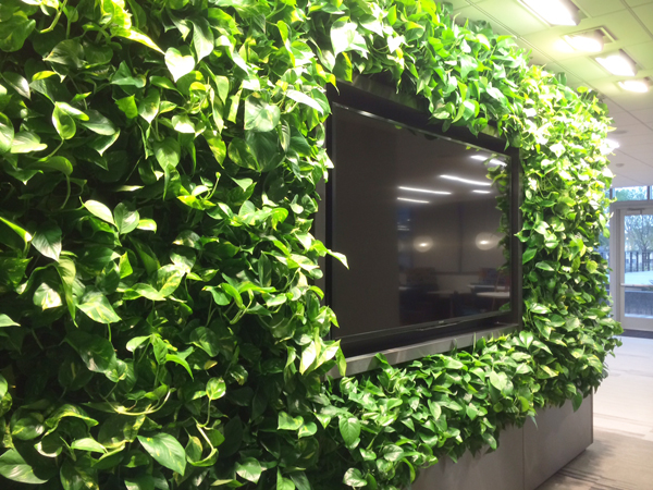 Take a look at our latest: the innovative living wall at LPL Financial including a flat screen TV display.