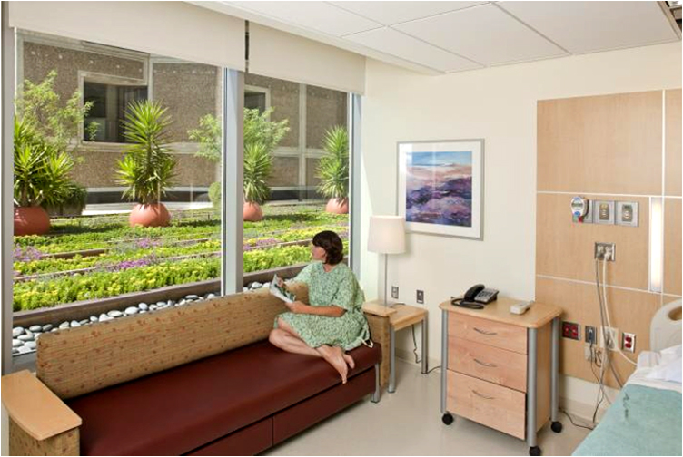 One of the patient rooms' at Sharp Memorial Hospital that looks out over the Good Earth Plants "green roof."