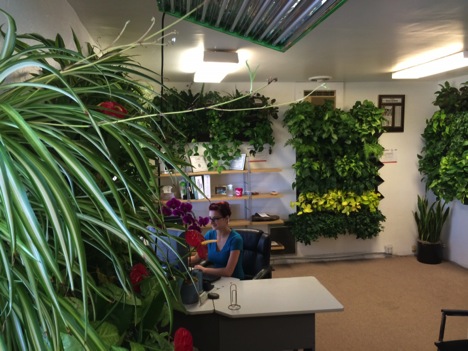 Katelyn Hutchings in her green office at Good Earth Plant Company with over 200 plants.