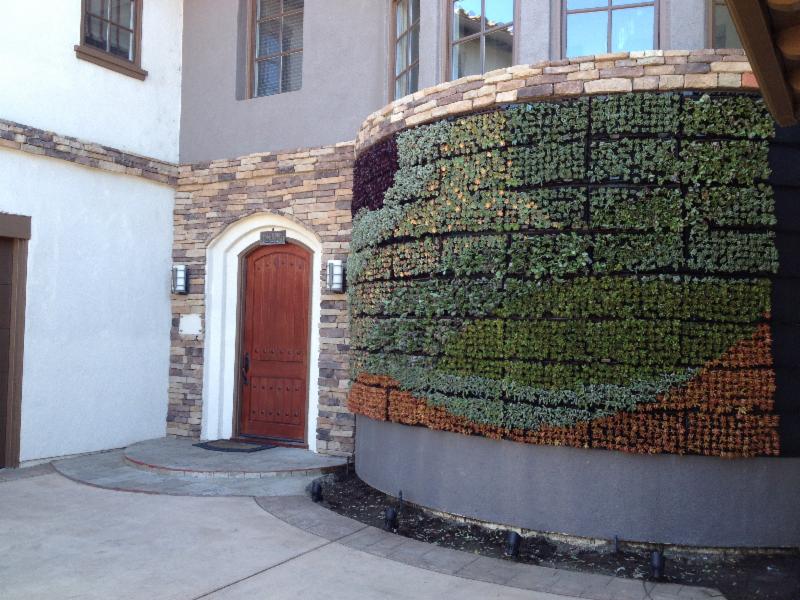 Sometimes square pegs fit in round holes: a living wall on a curved surface.