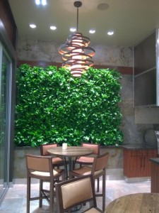 The Pirch Dallas showroom now features a living wall installed by GreenScaped Buildings. 