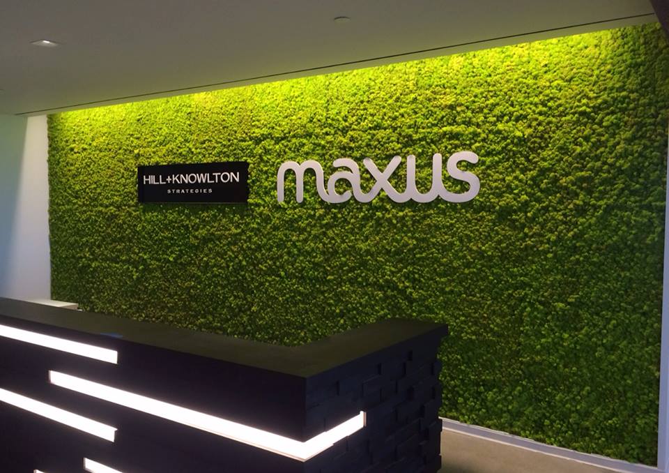 Our first living wall made out of preserved moss panels imported from Italy. Photo: GreenScaped Buildings