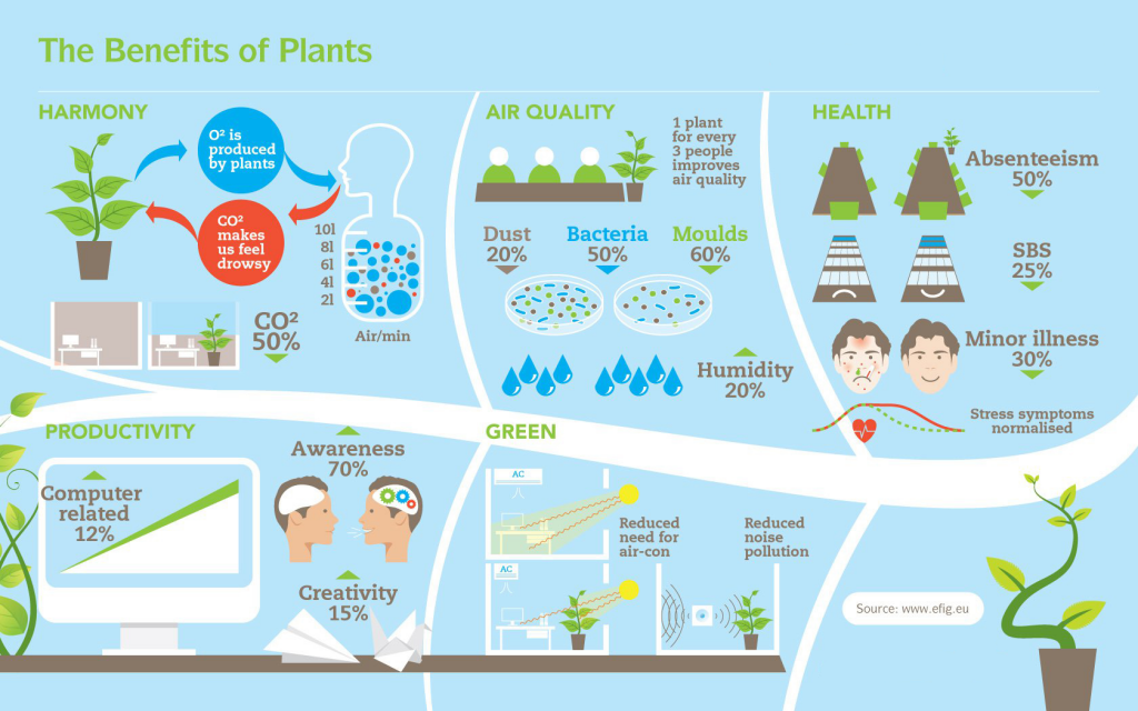 Celebrate National Indoor Plant Week with Good Earth Plants Good Earth Plants