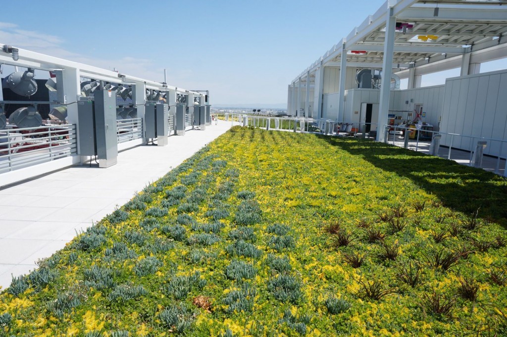 There is no reason a new San Diego Stadium shouldn't feature an eeven bigger and better green roof than Levi's Stadium in Santa Clara. Photo: Courtesy Levi's Stadium website