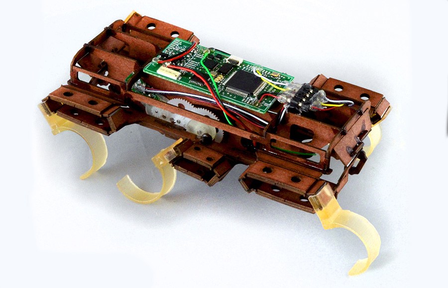This super robotic roach is grabbing headlines around the world. It's a perfect example of the power of biomimicry to solve our greatest challenges. Photo: Courtesy UC Berkeley