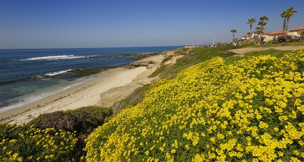 The signs of spring in San Diego might be subtle to visitors, but locals know what they are. Photo Courtesy San Diego Tourism Authority