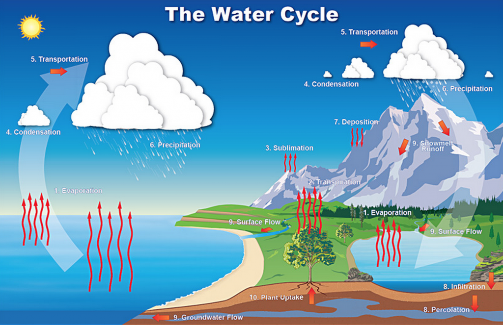 Preserving our watershed preserves our natural water cycle, preventing drought and runoff pollution. Diagram: NOAA website