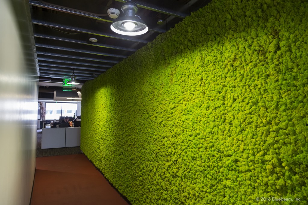 Moss walls like this one can absorb a tremendous amount of noise - and they're also a cool thing. 