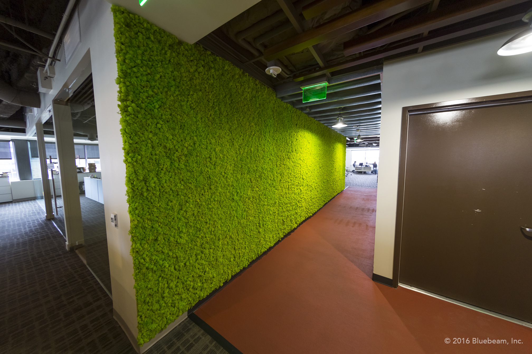 Good Earth Plant Company installed this moss wall at the Bluebeam software company in Pasadena, California, covering three of our hot design trends: moss walls, the WELL building standard, and the color green.