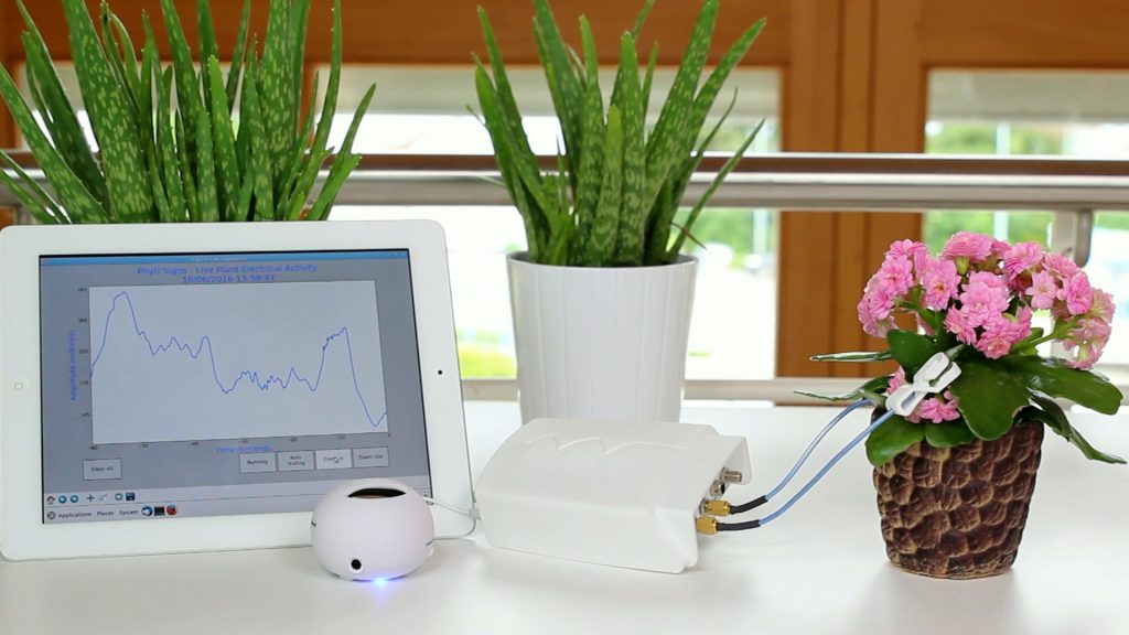 Can plants communicate? A startup company called Phytl Signs thinks it has a way to help humans decipher plant communication through electrical signals.
