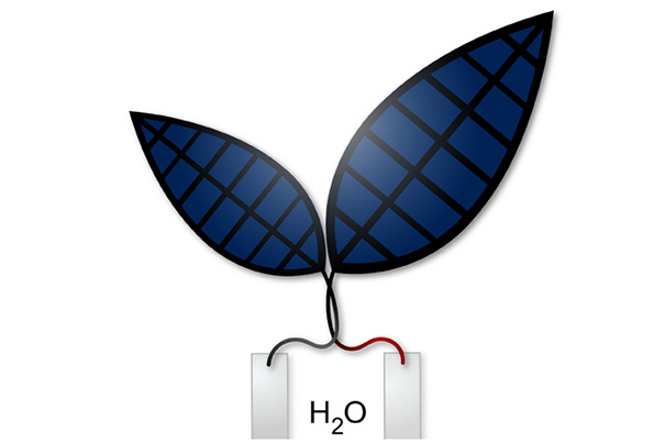 Could a bionic leaf help us cut our use of fossil fuels for energy and solve the global warming crisis? Research at Harvard University is promising.