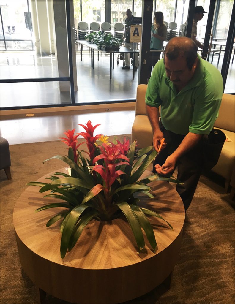 Good Earth Plant Company recently provided plantscaping services to the Alpha Project in public spaces like its lobby and its offices. 