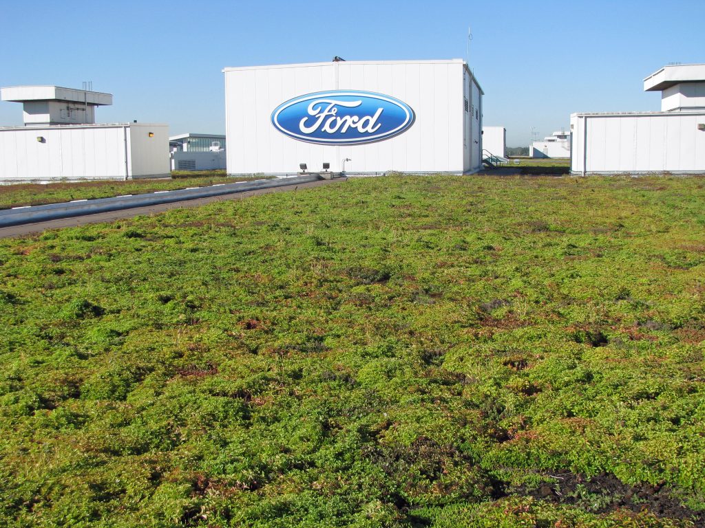 The Ford Dearborn green roof is 10.4 acres, planted mainly with sedum. It hasn't needed any irrigation for the last seven years!