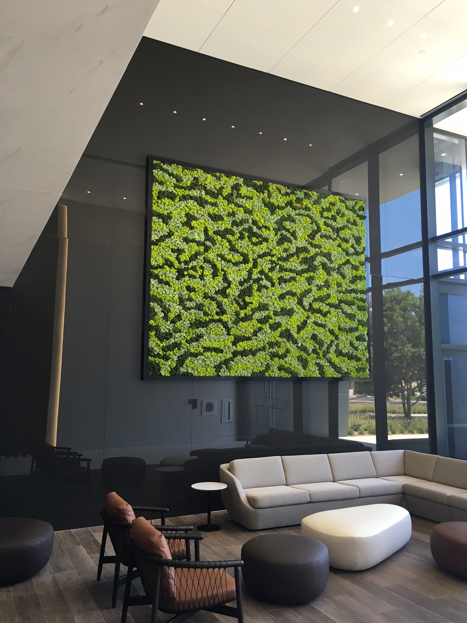 The moss wall installed by Good Earth Plant Company at San Diego's newest LEED Certified building, owned by Kilroy Realty in Del Mar Heights.