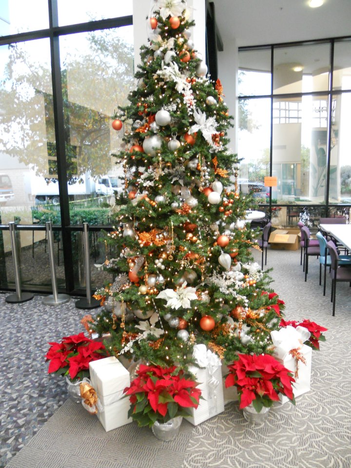 One of the Christmas trees created by Good Earth Plant Company for our clients.