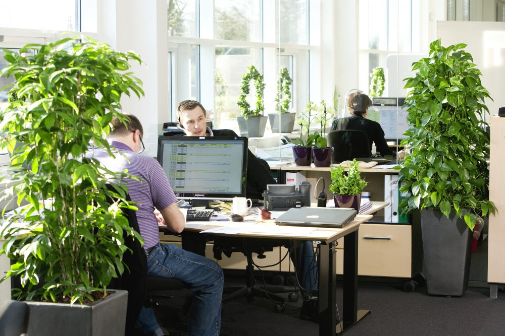 People working in an office with lots of plants.