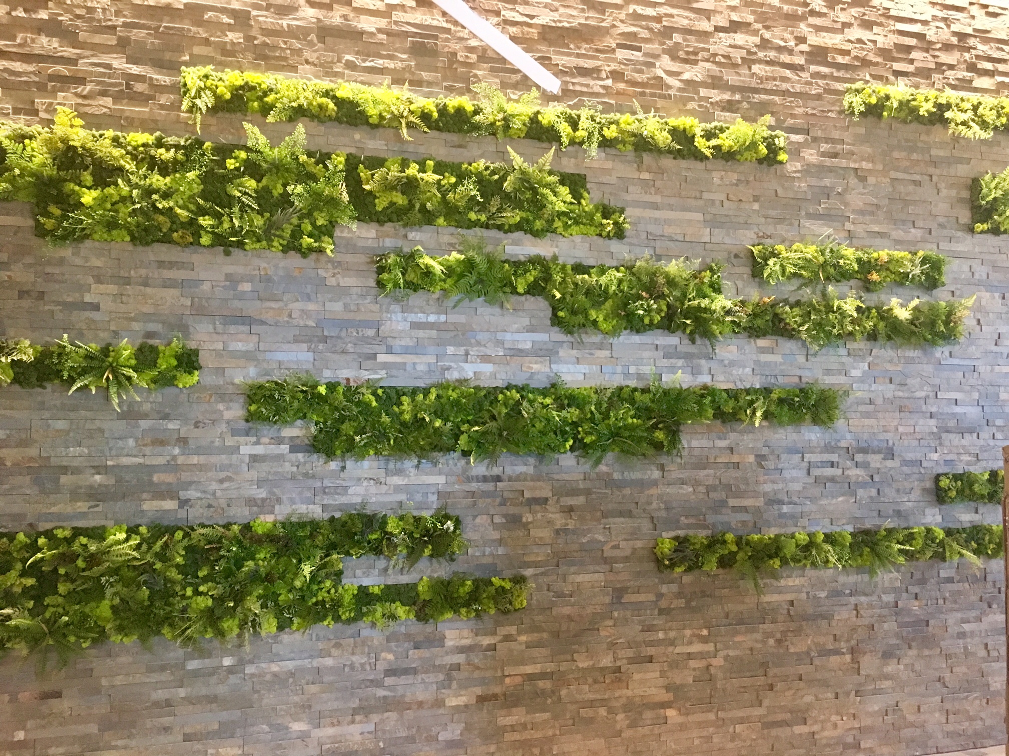 Good Earth Plant Company has so many innovative ways to add plants to your interior design today, including spectacular moss walls.