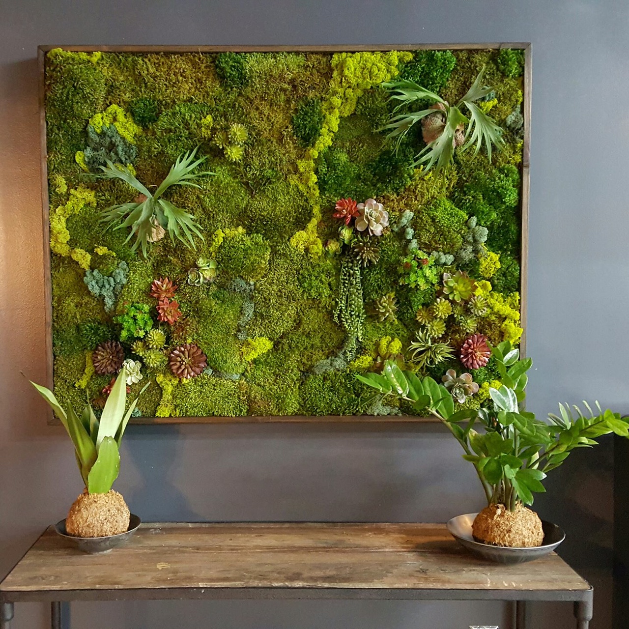 Real Moss Decor Preserved Moss Art Framed and Key Holder Preserved Moss Art Framed Nature Room Decor Eco Friendly Living Moss Wall