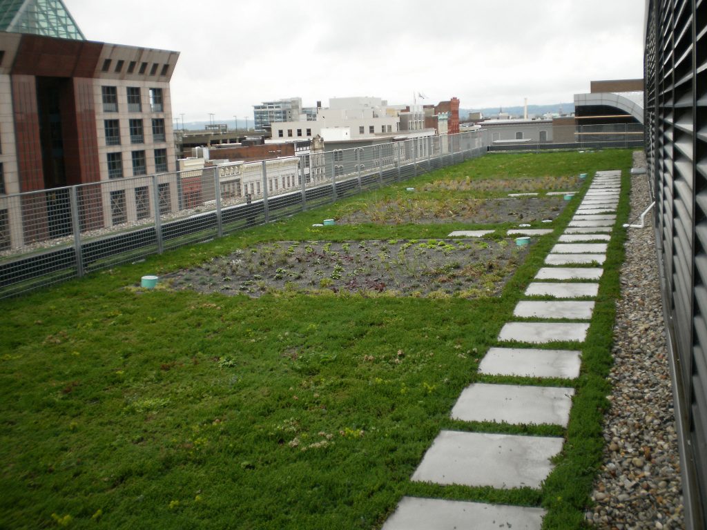 This green roof in Louisville, KY is beneficial in managing rainwater and helps reduce energy costs for the 23 story building. Photo: USDA NRCS/Creative Commons License fix our streets