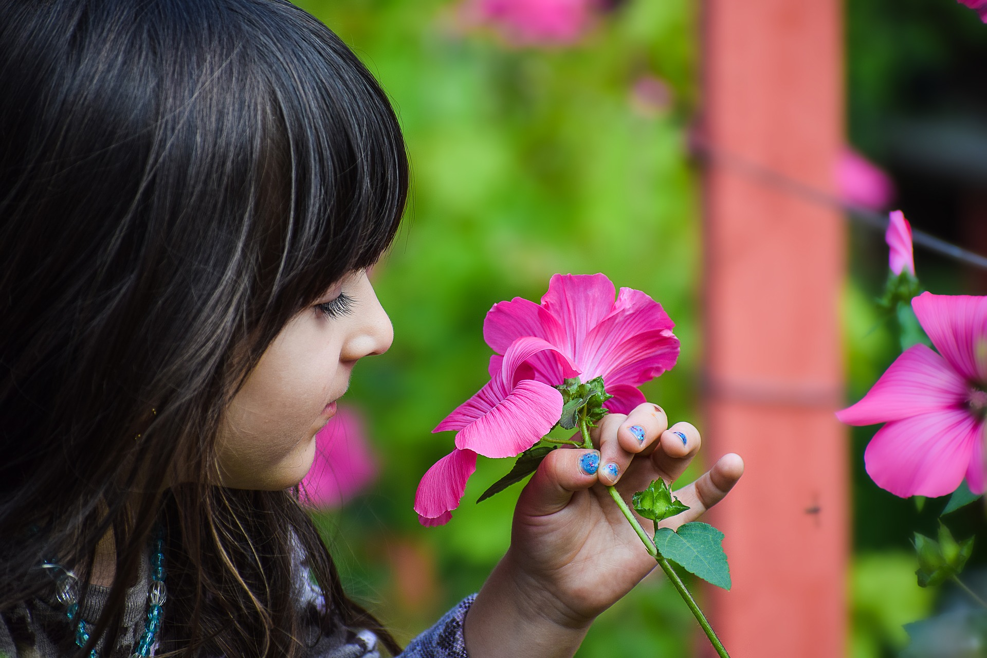 Bullying isn't good for people or plants. Photo: Khamkhor/CreativeCommons license