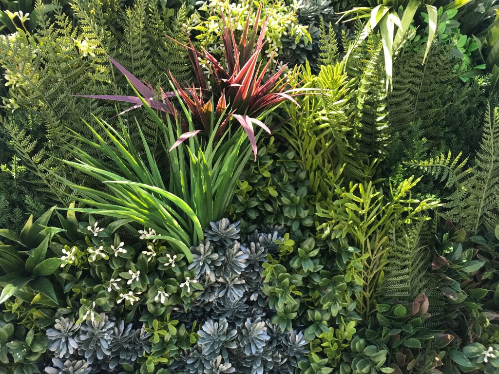 We couldn't have imagined how good replica plants would look back in the 1970s and 1980s when Good Earth Plant Company first worked with them. 