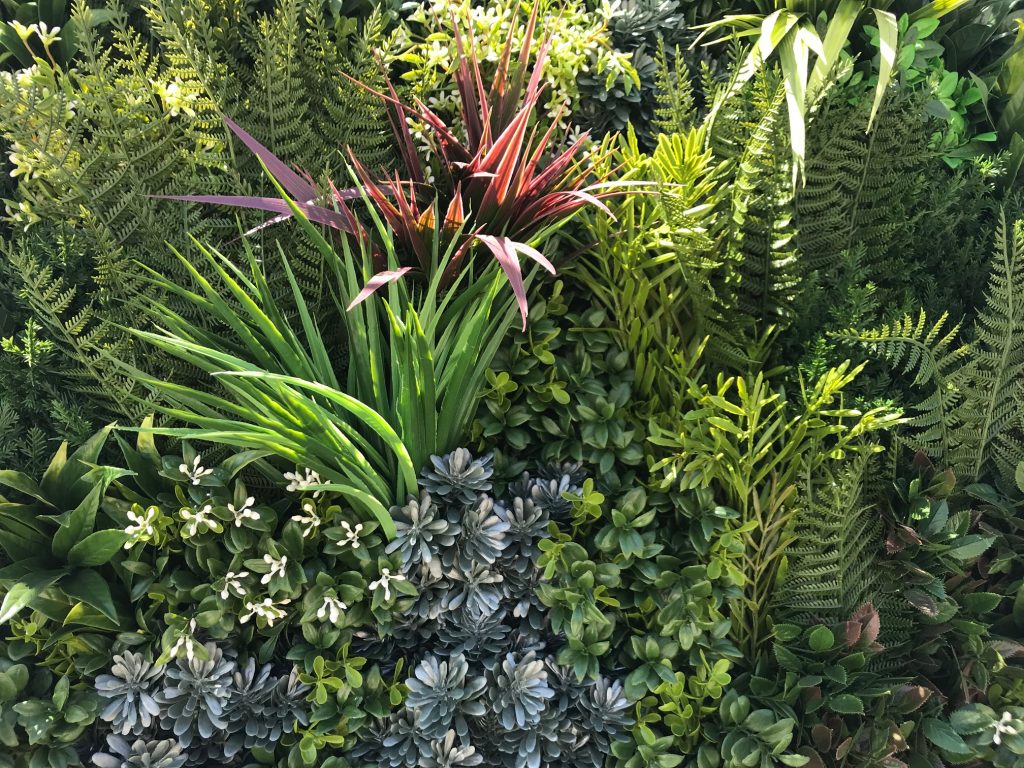 We couldn't have imagined how good replica plants would look back in the 1970s and 1980s when Good Earth Plant Company first worked with them.