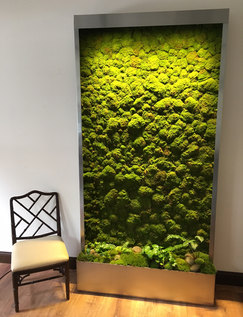 One of the new living moss walls which will soon be available to our clients at Good Earth Plant Company.