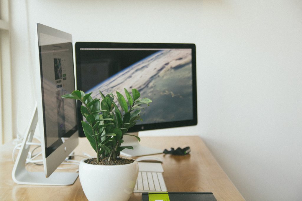 Good Earth Plant Company believes indoor plants in the workplace are as essential in the workplace as technology. Photo: Stocksnap/Creative Commons