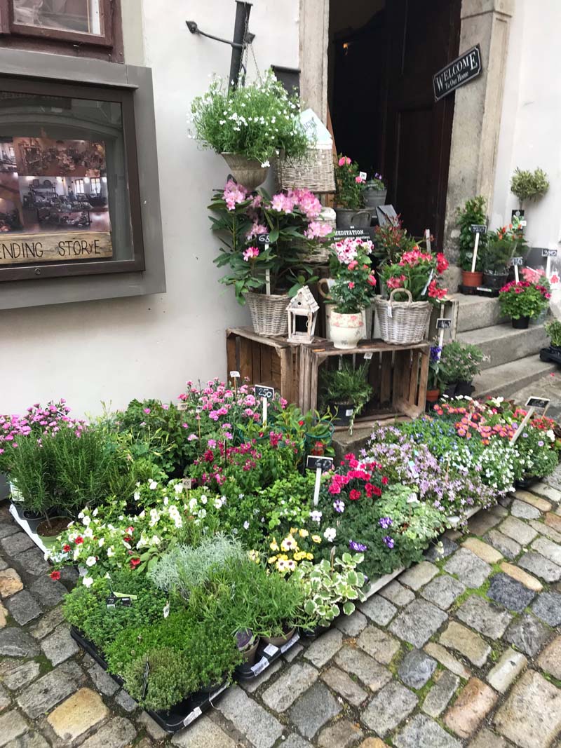 There's no way I could pass up a chance to check out this flower shop in Slovakia. Photo: Jim Mumford