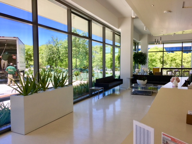 The modern resimercial workplace embraces healthy biophilic design with lots of light, fresh air, and plants, like our work at Illumina in San Diego.