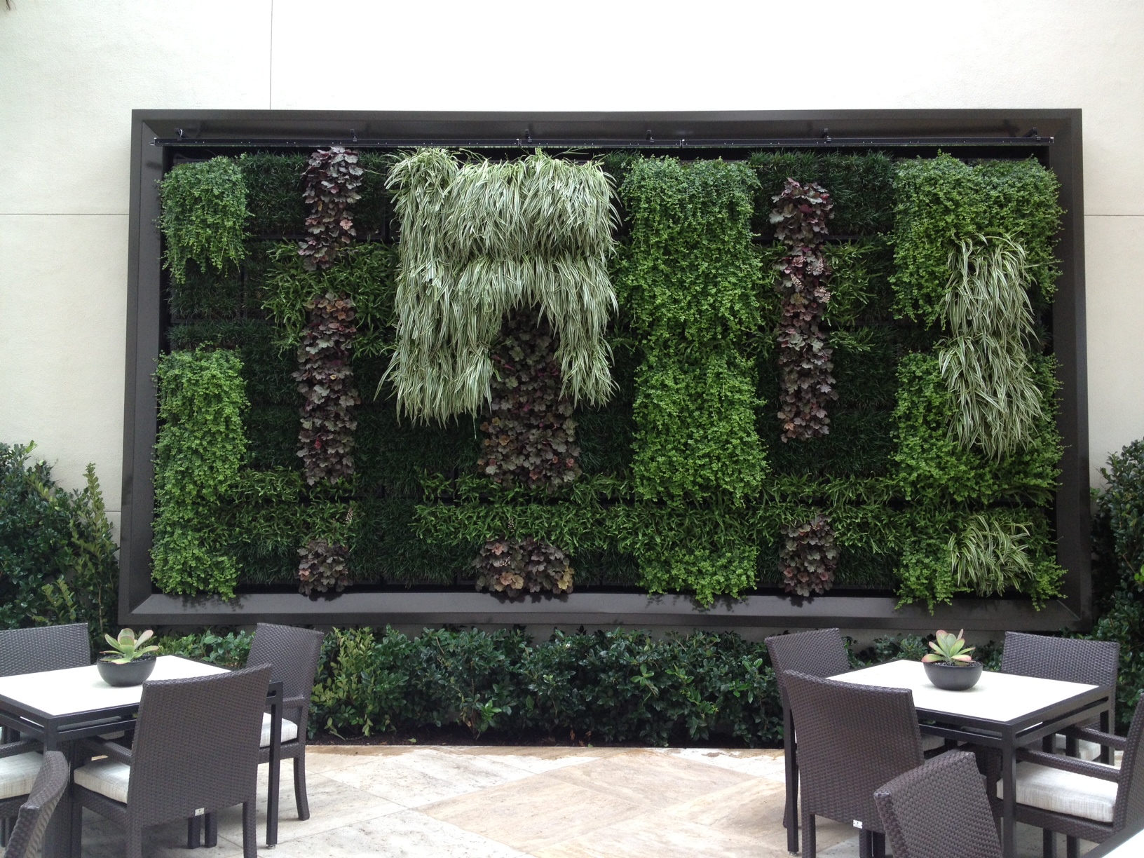Green walls or living walls provide a spectacular backdrop in nearly any setting. We installed this one for the Irvine Company. 