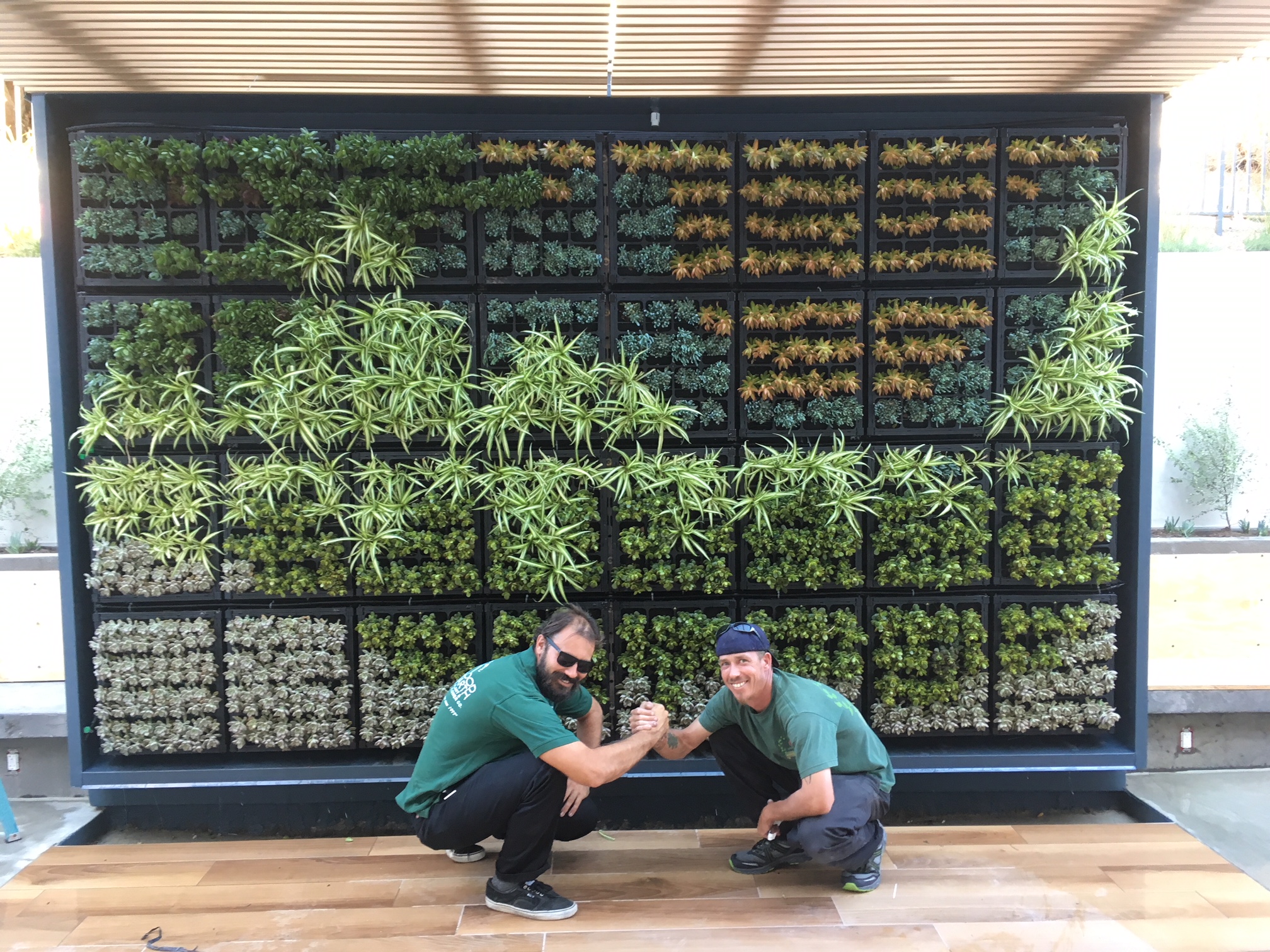 Living Wall - Good Earth Plant Company - Our Mission and Values
