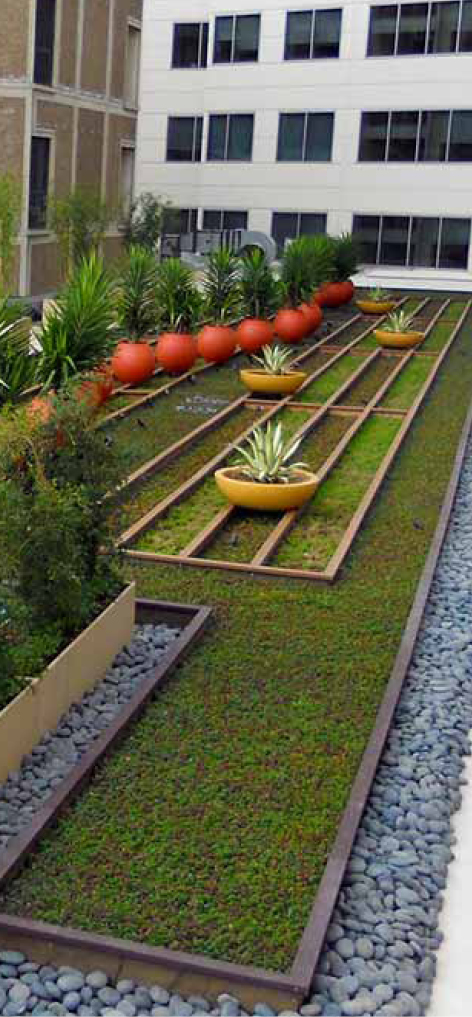 This green roof design by landscape architect Glen Schmidt depicts the opening musical notes of "Ode to Joy" at Sharp Memorial Hospital in San Diego, California. 