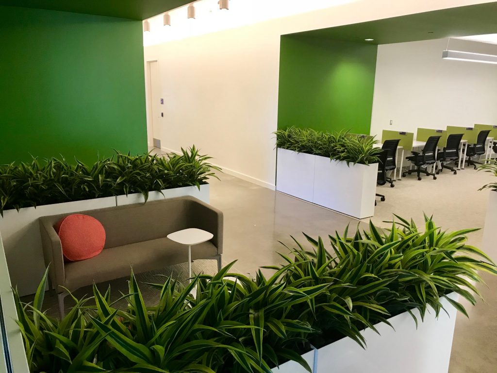 Vertex Pharmaceuticals Interior Plantscaping - Indoor Plants