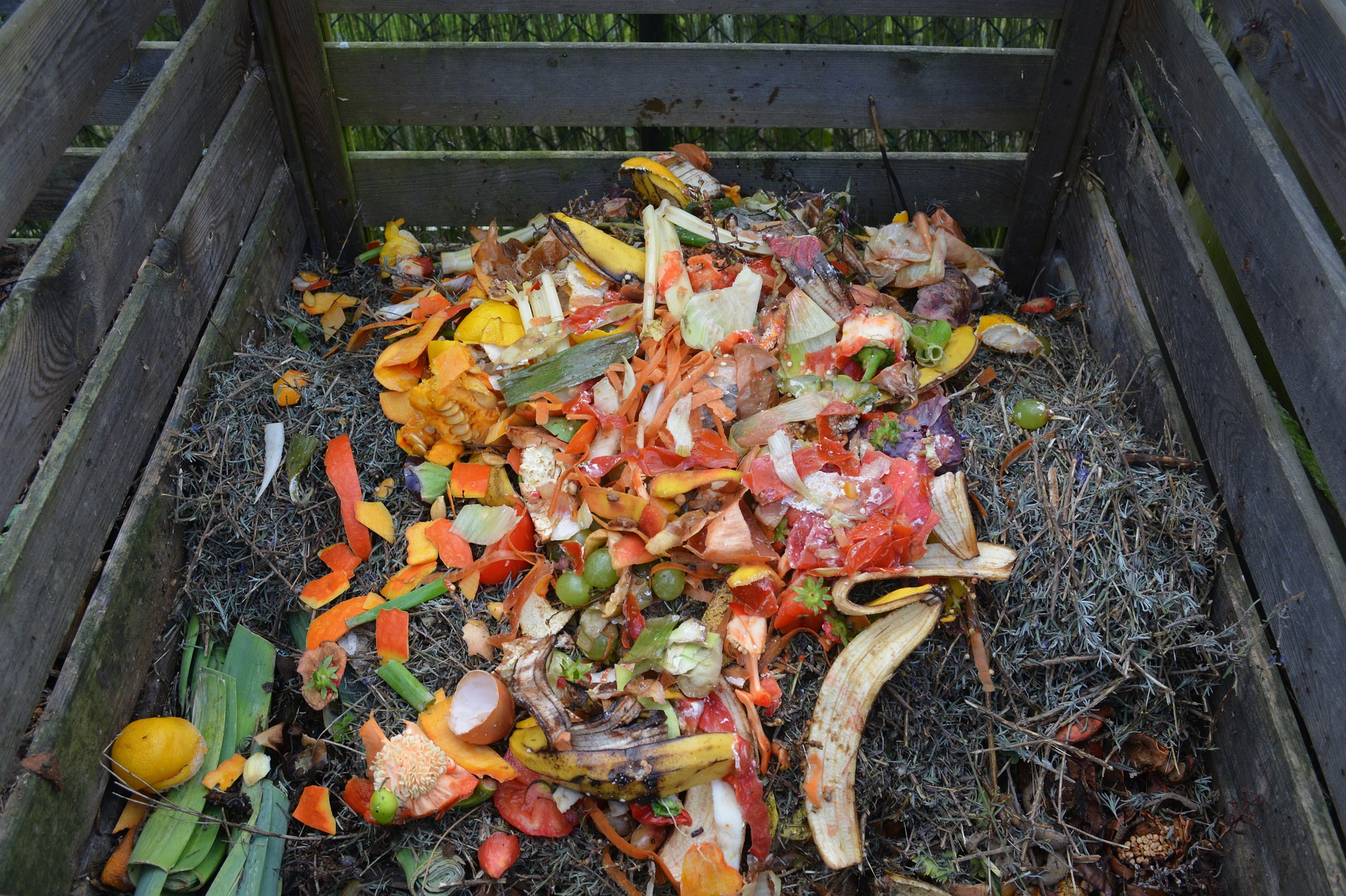 If you have access to a compost pile, add your pumpkins on Novemb er 1. Photo: Ben Kerckx / Pixabay recycle your pumpkins