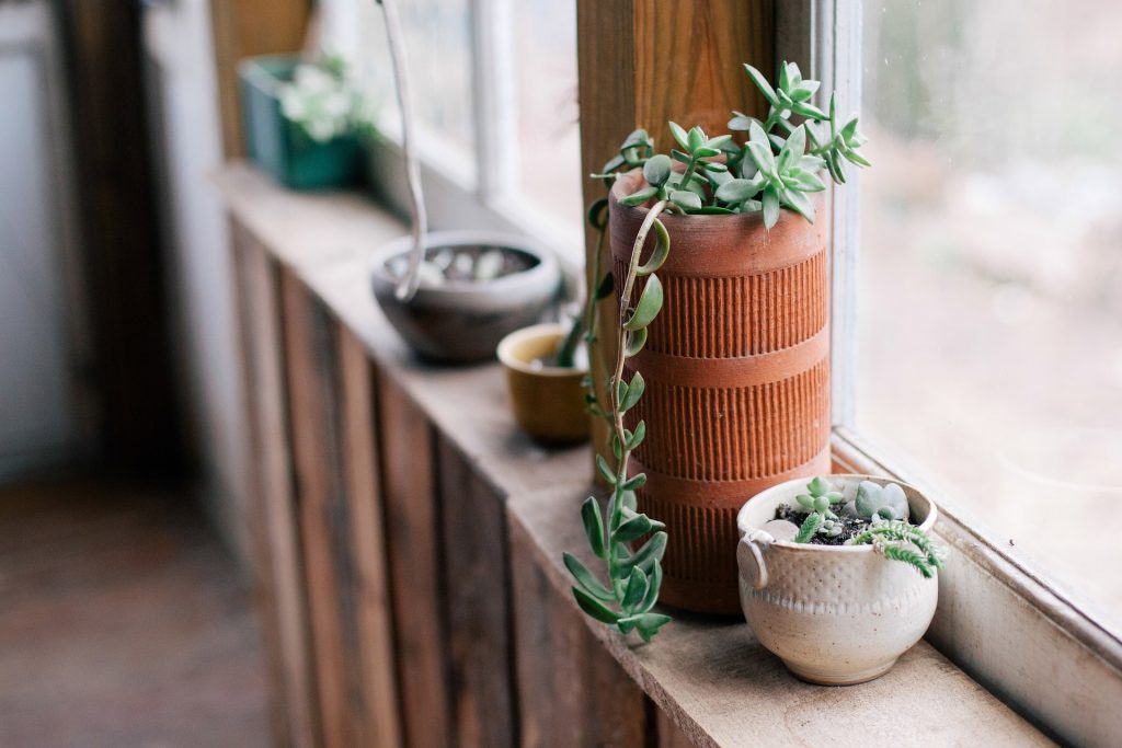When space is at a premium, use found space like windowsills for your indoor plants.