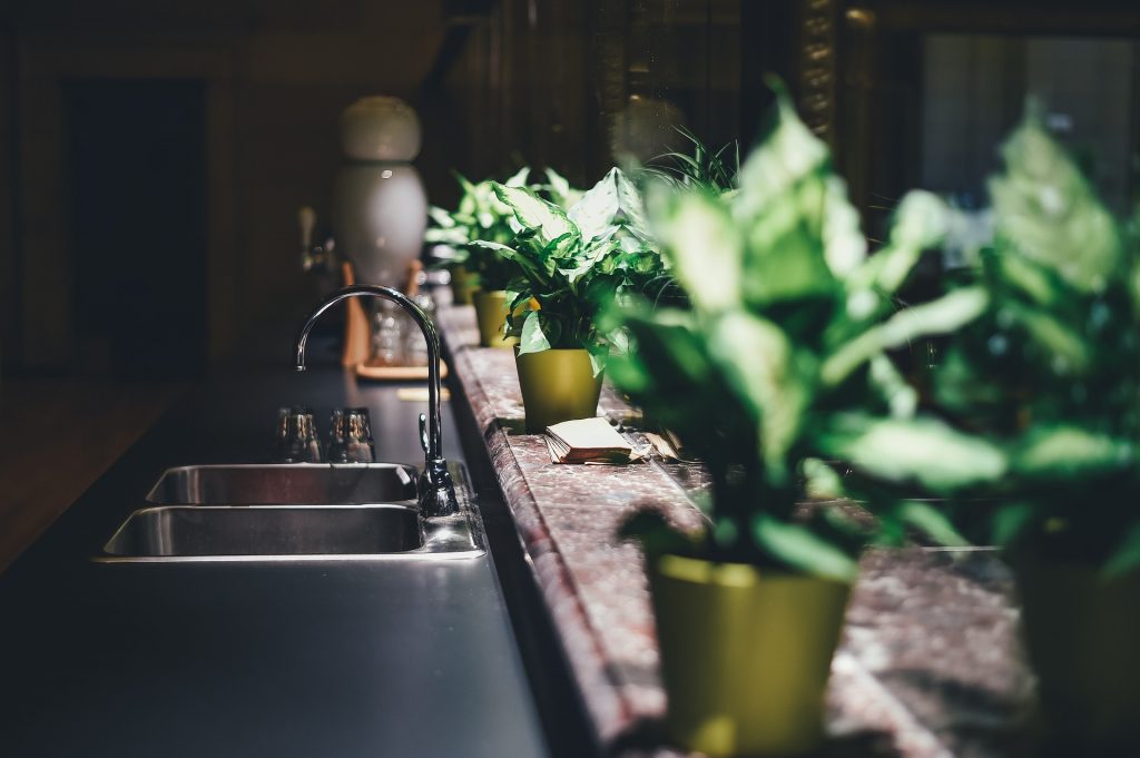 Your plants will enjoy a humid environment like a kitchen, but there is no need to mist them to increase humidity. Photo: Pexels - Pixabay