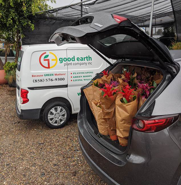 Donated plants from Good Earth Plant Company ready for delivery.