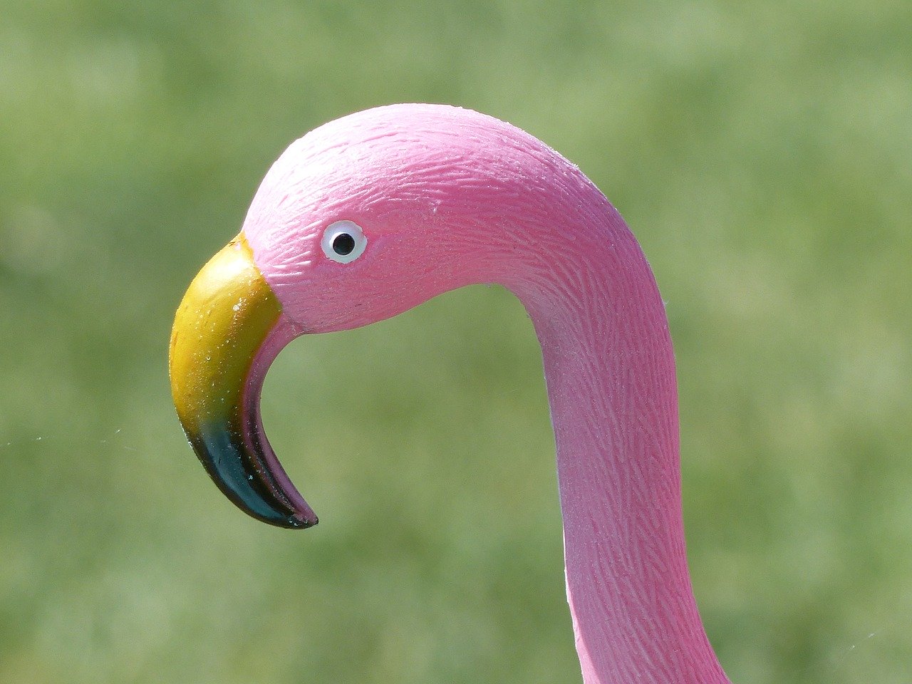 Pink flamingo lawn ornaments were invented in 1957. The first one had a name: Diego! Photo: Lena Svensson, Pixabay