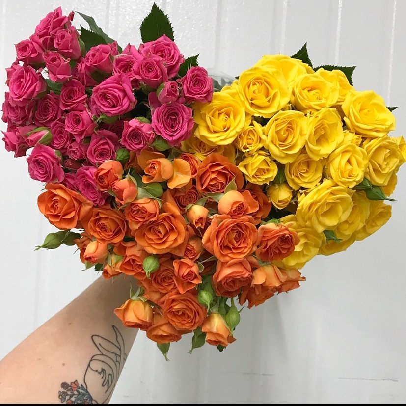 Roses are a popular expression of love on Valentine's Day - but production can be hard on our planet. Photo: Dramm & Echter