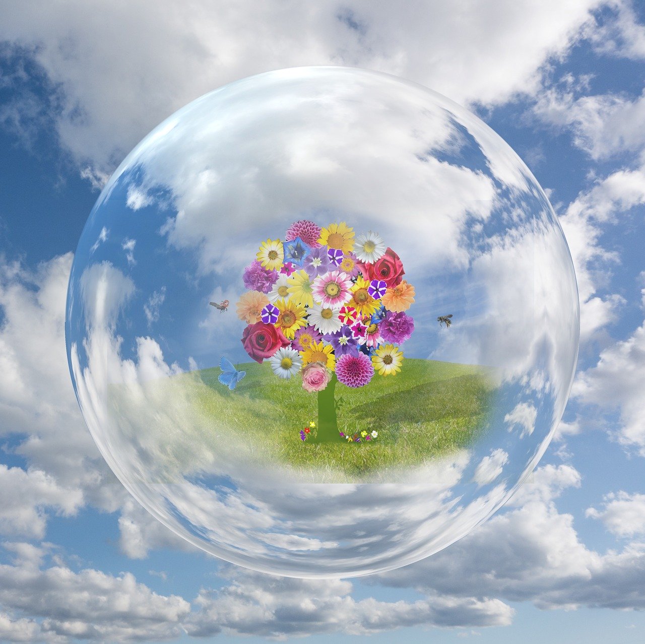 We might feel like we're living in a bubble, but we have a golden opportunity to improve our indoor environments. Photo: Beate Bachmann/Pixabay