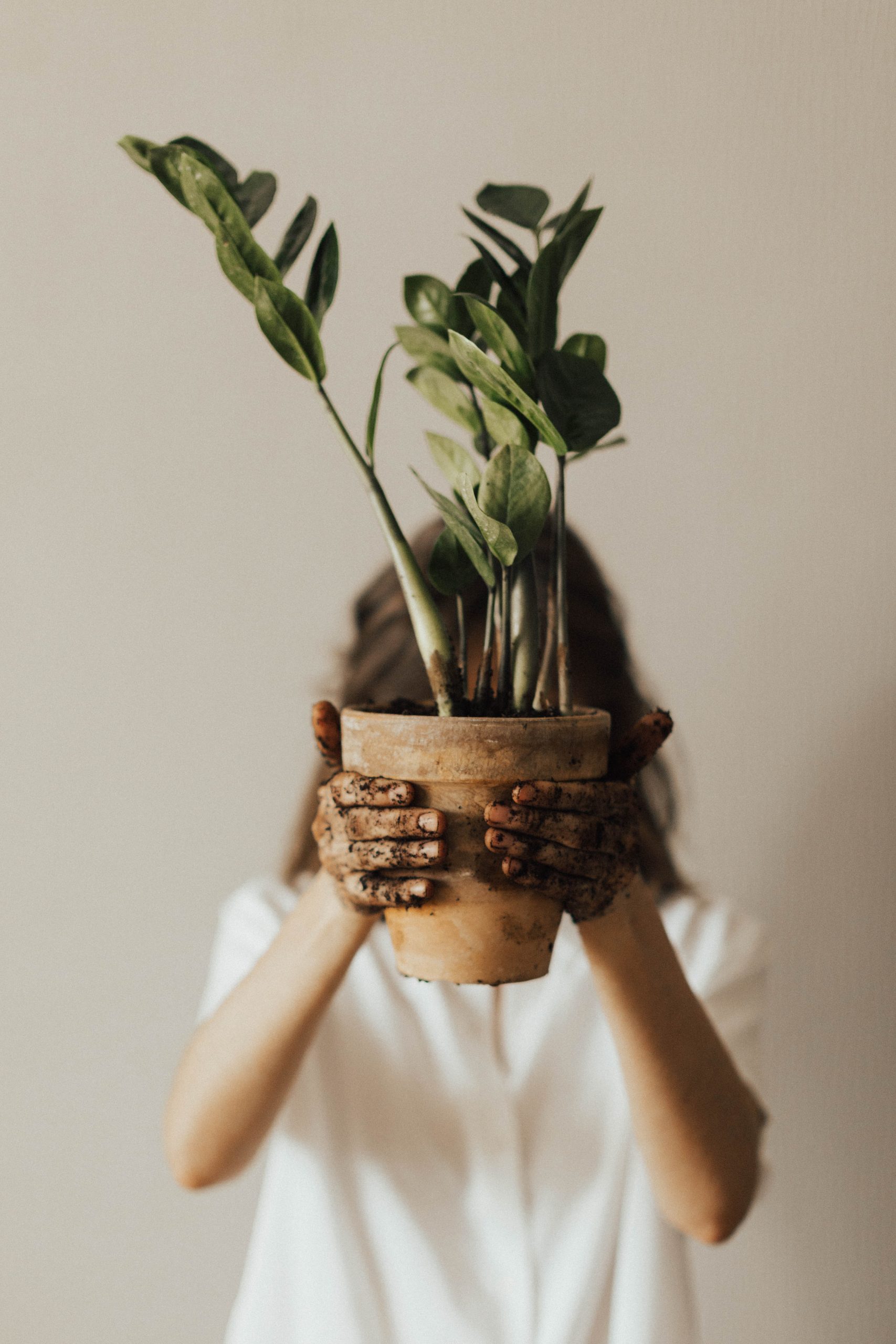 Plenty of people have brought new plants home to keep them company during the pandemic shutdown. Photo: Valeria Ushakova / Pexels