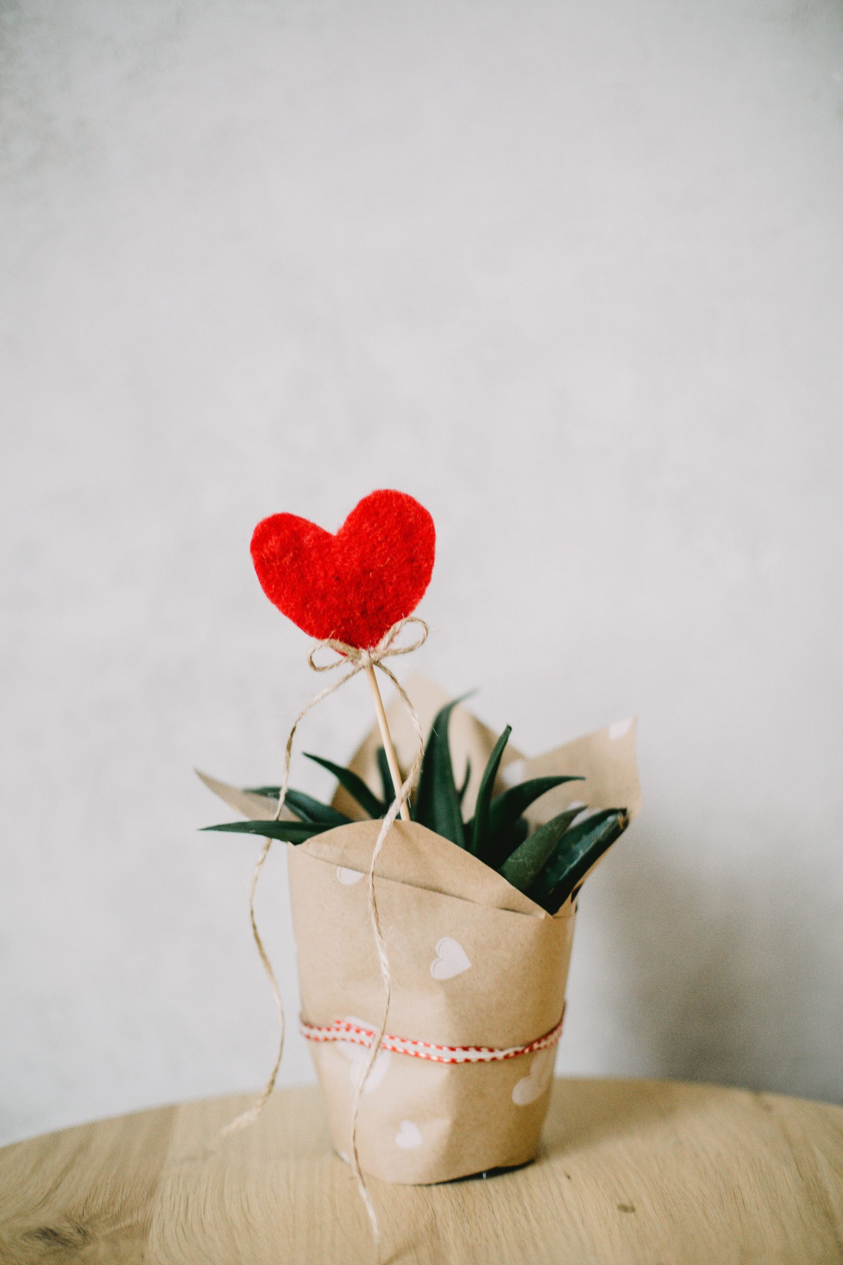 Use our tips to bring home a healthy indoor plant you'll love for many years to come. Photo: Daria Shevtsova/Pixabay healthy indoor plant