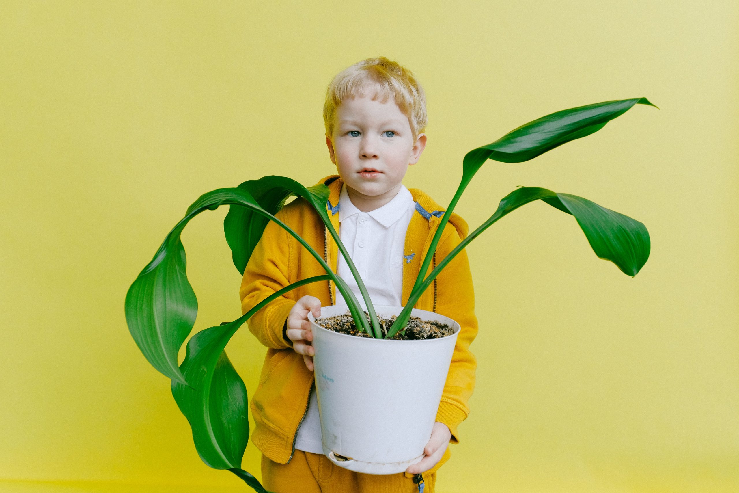 Our horticultural technicians at Good Earth Plant Company are smarter than a fifth grader when it comes to taking care of plants. Photo: Anna Shvets plant care tips