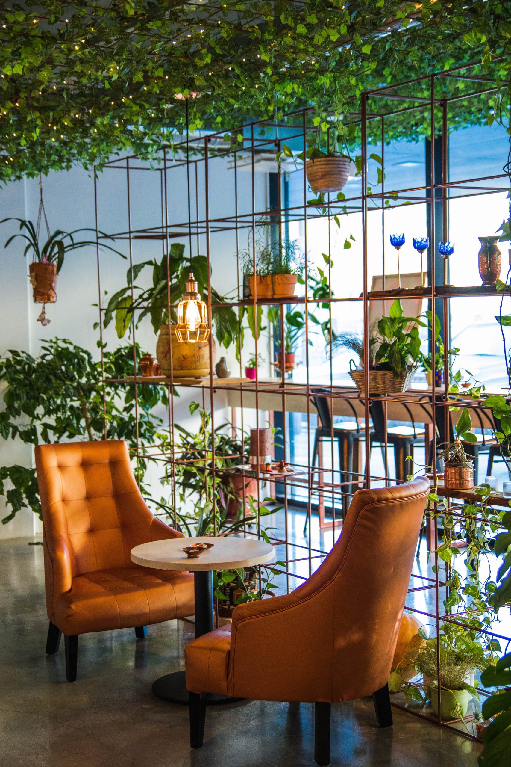 The post pandemic office will be filled with light and plants when employees return in 2021. Phjoto: Valeria Boltneva plant stylist